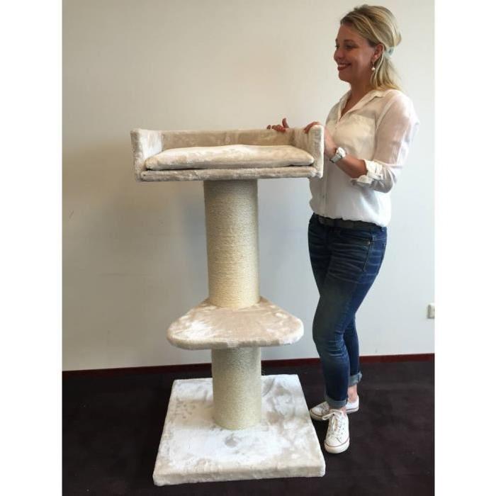 arbre a chat maine coon lounge